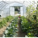 인태농장 이미지