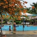 수영온천탕 이미지