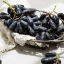 사파이어 이미지