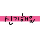이현경애견미용학원 이미지