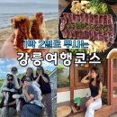 우정닭강정 | 강릉 우정여행 현지인 맛집 추천 콩새야 서울양계 닭강정
