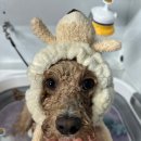 개릿뷰티 이미지