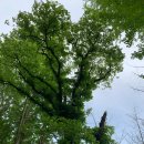 갈거마을회관 이미지