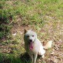 풍산농장 이미지