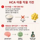 위즈덤플래닛