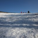 대관령목장 이미지