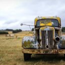 김의 효능과 부작용, 하루 권장량까지 한 번에 알아보기 이미지