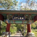 천년 행정사 이미지