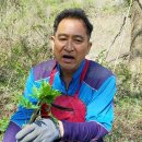 죽을수도 있는 독초.투구꽃 이미지