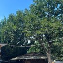 산성숯불갈비식당 이미지