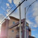 해피데이애견 이미지