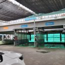 대현셀프세차장 이미지