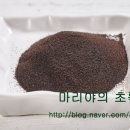 주진상사