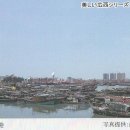 11620-3-8-4 Daum카페