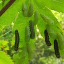 예인아이사랑어린이집 이미지