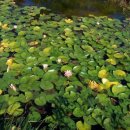 송도역공인중개사사무소 이미지