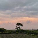 제주한성농수산 네이버블로그