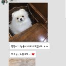 해운대플러스동물병원 이미지