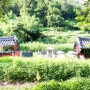 청산이용원