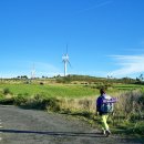 피스테라 이미지