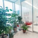 메디플란트치과의원 이미지