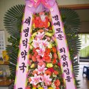 새명약국 이미지