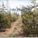 진등3로 이미지