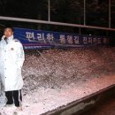 연홍 이미지