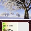 빈공간 Daum카페