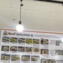 안서방만두