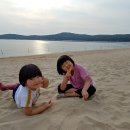 실미농장 이미지