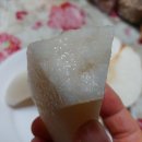 수방농장 Daum카페