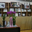 분당에덴동물병원 | 경기광주동물병원 분당에덴동물병원 아토피 전문 동물병원