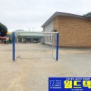 노화중앙초등학교 이미지