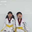 용인대 강한태권도장 이미지