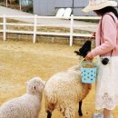 아라목장 이미지