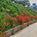 썸데이 게스트하우스 이미지