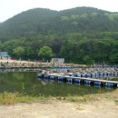 그린 낚시터 이미지