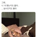 윈드힐캠핑장 이미지