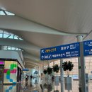 551 | 인천-이스탄불 아시아나항공 OZ551 기내식 비행시간 후기