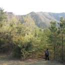 강성주유소 이미지