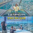 스카이디지탈 | 도쿄 시부야스카이 전망대 예약 입장권 시간 야경 맛집 후기