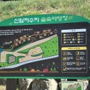 신암초등 | 신암저수지 숲속야영장 오토캠핑장 양주 캠핑장 꼼꼼후기
