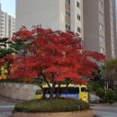 죽현경로당 이미지