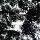 약봉테라피(마사지교정운동) 이미지