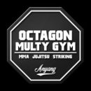 옥타곤 멀티짐 이미지