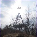 올레길 산림형 4코스 Daum카페