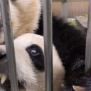 마사지 카페 이미지