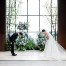 보라가든 | 로프트가든 본식스냅 사진보라 만족후기💜