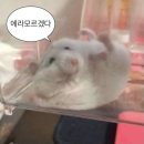 애드포스트 승인 후기, 애드포스트 미승인 이유 ㅠㅠ